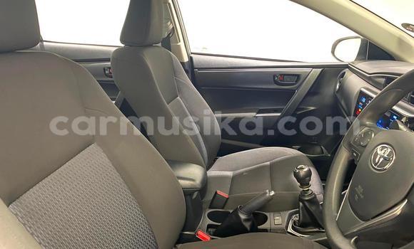 Acheter Occasion Voiture Toyota Corolla Gris à Avondale, Harare Acheter Occasion Voiture Toyota Corolla Gris à Avondale, Harare