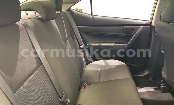 Acheter Occasion Voiture Toyota Corolla Gris à Avondale, Harare Acheter Occasion Voiture Toyota Corolla Gris à Avondale, Harare