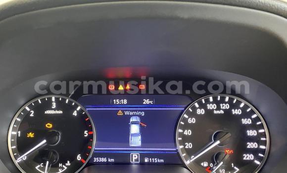 Acheter Occasion Voiture Nissan Navara Blanc à Beitbridge, Matabeleland South Acheter Occasion Voiture Nissan Navara Blanc à Beitbridge, Matabeleland South