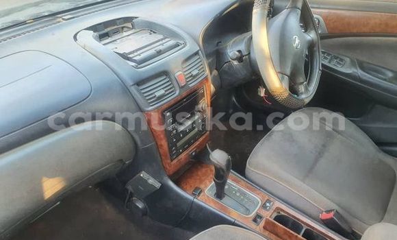 Tenga Tsaru Nissan Bluebird Zvimwe Mota in Belvedere in Harare Tenga Tsaru Nissan Bluebird Zvimwe Mota in Belvedere in Harare