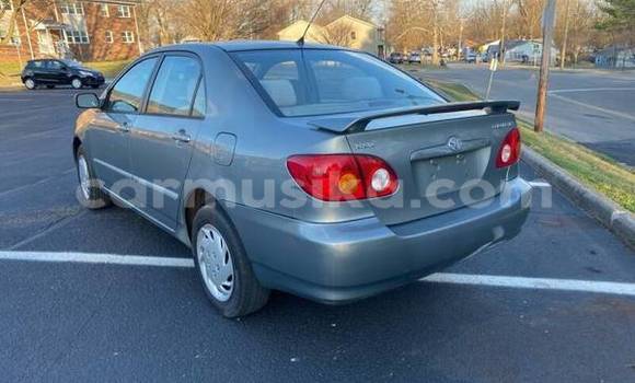 Nunua Ilio tumika Toyota Corolla Fedha Gari ndani ya Bulawayo nchini Bulawayo