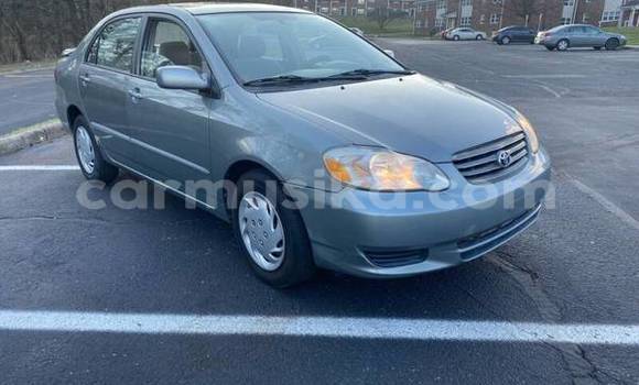 Acheter Occasion Voiture Toyota Corolla Gris à Bulawayo, Bulawayo Acheter Occasion Voiture Toyota Corolla Gris à Bulawayo, Bulawayo