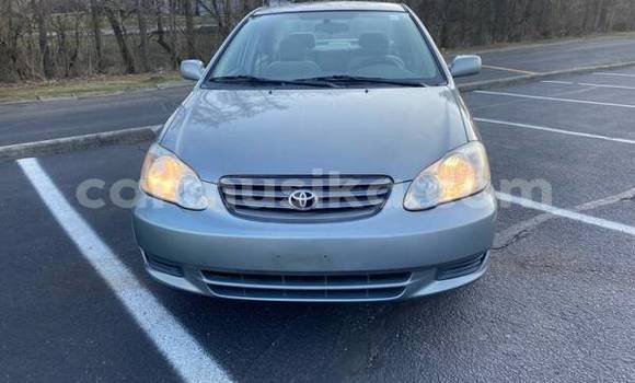Acheter Occasion Voiture Toyota Corolla Gris à Bulawayo, Bulawayo Acheter Occasion Voiture Toyota Corolla Gris à Bulawayo, Bulawayo