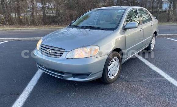 Acheter Occasion Voiture Toyota Corolla Gris à Bulawayo, Bulawayo Acheter Occasion Voiture Toyota Corolla Gris à Bulawayo, Bulawayo