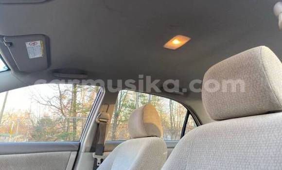 Acheter Occasion Voiture Toyota Corolla Gris à Bulawayo, Bulawayo Acheter Occasion Voiture Toyota Corolla Gris à Bulawayo, Bulawayo