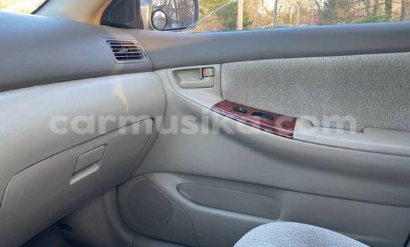 Acheter Occasion Voiture Toyota Corolla Gris à Bulawayo, Bulawayo Acheter Occasion Voiture Toyota Corolla Gris à Bulawayo, Bulawayo