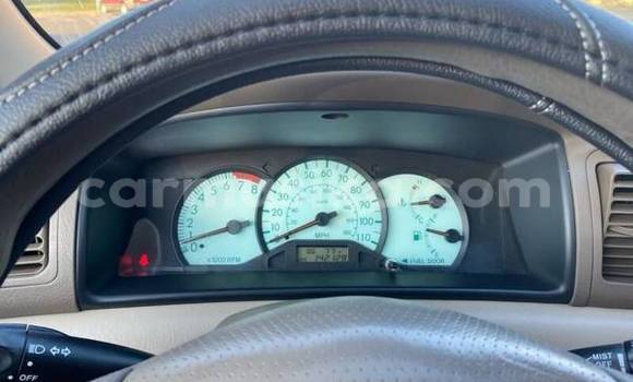 Acheter Occasion Voiture Toyota Corolla Gris à Bulawayo, Bulawayo Acheter Occasion Voiture Toyota Corolla Gris à Bulawayo, Bulawayo