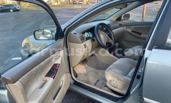 Acheter Occasion Voiture Toyota Corolla Gris à Bulawayo, Bulawayo Acheter Occasion Voiture Toyota Corolla Gris à Bulawayo, Bulawayo