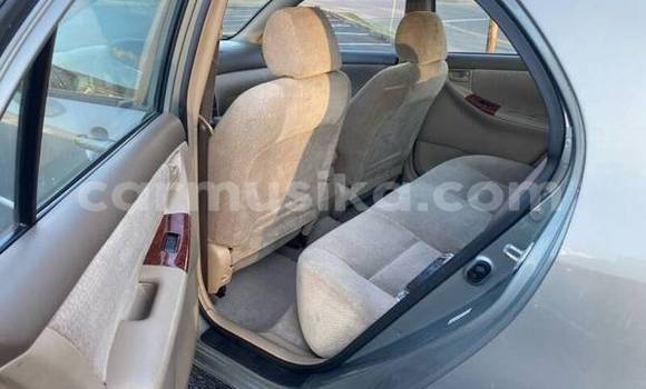 Acheter Occasion Voiture Toyota Corolla Gris à Bulawayo, Bulawayo Acheter Occasion Voiture Toyota Corolla Gris à Bulawayo, Bulawayo