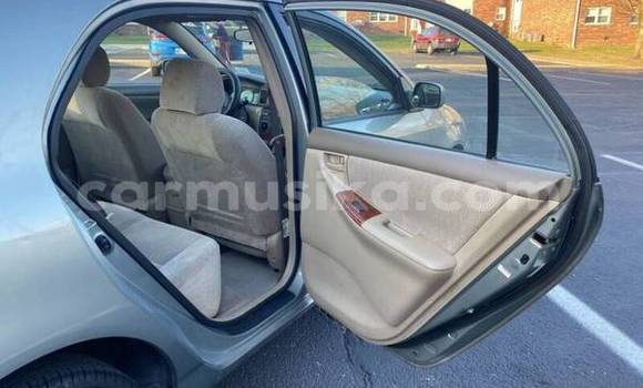 Acheter Occasion Voiture Toyota Corolla Gris à Bulawayo, Bulawayo Acheter Occasion Voiture Toyota Corolla Gris à Bulawayo, Bulawayo