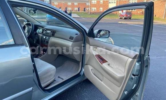 Acheter Occasion Voiture Toyota Corolla Gris à Bulawayo, Bulawayo Acheter Occasion Voiture Toyota Corolla Gris à Bulawayo, Bulawayo