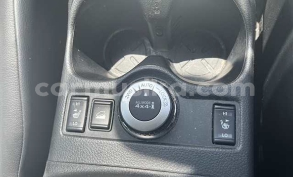 Tenga Tsaru Nissan X–Trail Nhema Mota in Beitbridge in Matabeleland South Tenga Tsaru Nissan X–Trail Nhema Mota in Beitbridge in Matabeleland South