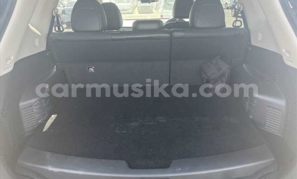 Tenga Tsaru Nissan X–Trail Nhema Mota in Beitbridge in Matabeleland South Tenga Tsaru Nissan X–Trail Nhema Mota in Beitbridge in Matabeleland South