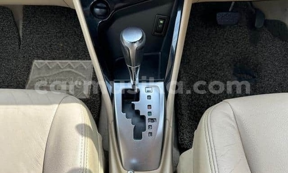 Buy Used Toyota Vios Beige Car in Beitbridge in Matabeleland South Buy Used Toyota Vios Beige Car in Beitbridge in Matabeleland South