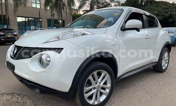 Nunua Ilio tumika Nissan Juke Nyingine Gari ndani ya Harare nchini Harare Nunua Ilio tumika Nissan Juke Nyingine Gari ndani ya Harare nchini Harare