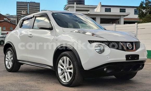 Buy Used Nissan Juke Other Car in Harare in Harare Buy Used Nissan Juke Other Car in Harare in Harare
