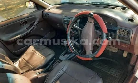 Tenga Tsaru Nissan Sunny Chena Mota in Harare in Harare Tenga Tsaru Nissan Sunny Chena Mota in Harare in Harare