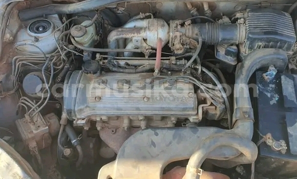 Tenga Tsaru Toyota Raum Zvimwe Mota in Harare in Harare