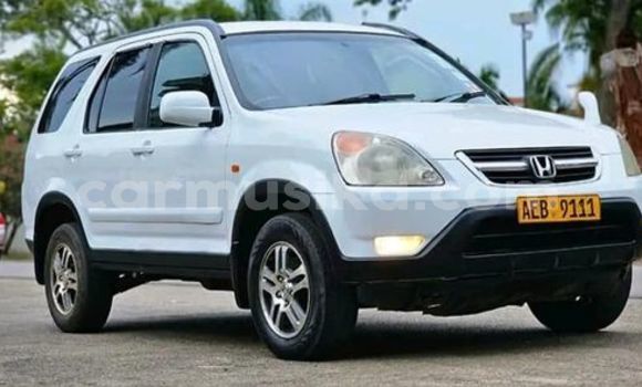 Nunua Ilio tumika Honda CR–V Nyingine Gari ndani ya Harare nchini Harare Nunua Ilio tumika Honda CR–V Nyingine Gari ndani ya Harare nchini Harare
