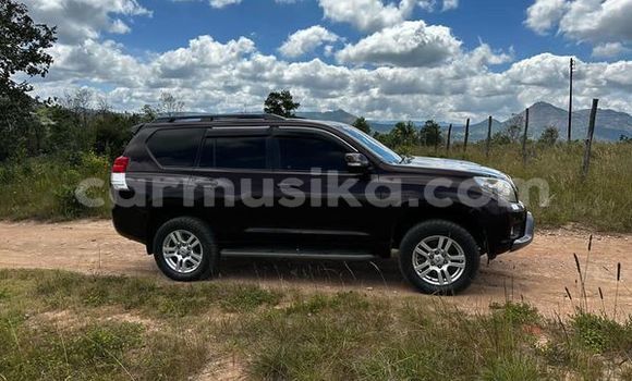 Buy Used Toyota Prado Other Car in Harare in Harare Buy Used Toyota Prado Other Car in Harare in Harare