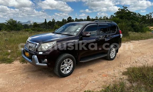 Buy Used Toyota Prado Other Car in Harare in Harare Buy Used Toyota Prado Other Car in Harare in Harare
