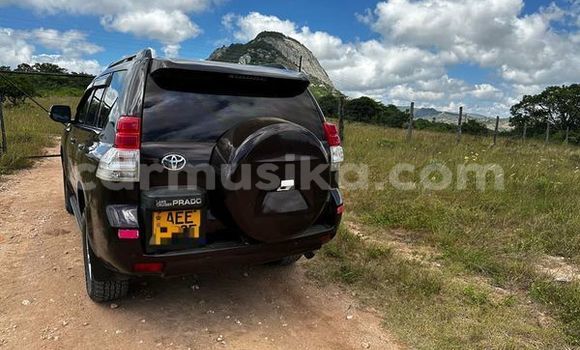 Buy Used Toyota Prado Other Car in Harare in Harare Buy Used Toyota Prado Other Car in Harare in Harare