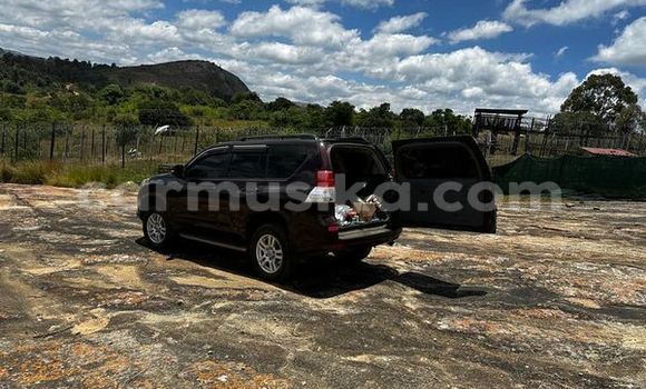 Buy Used Toyota Prado Other Car in Harare in Harare Buy Used Toyota Prado Other Car in Harare in Harare