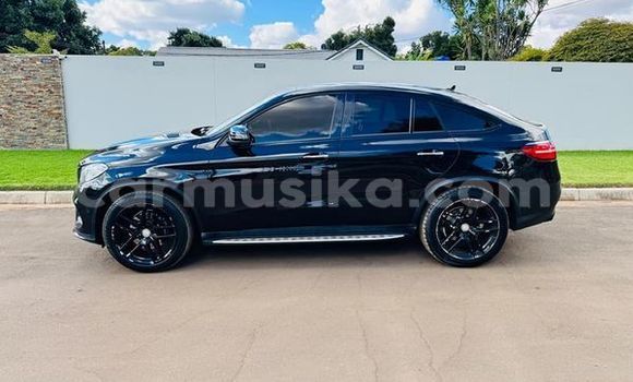 Tenga Tsaru Mercedes Viano Nhema Mota in Harare in Harare