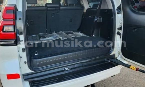 Tenga Tsaru Toyota Land Cruiser Prado Zvimwe Mota in Harare in Harare Tenga Tsaru Toyota Land Cruiser Prado Zvimwe Mota in Harare in Harare