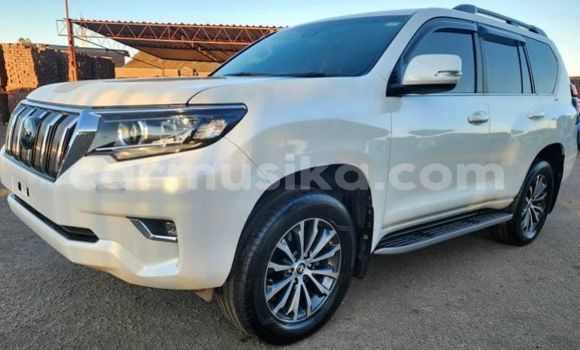 Tenga Tsaru Toyota Land Cruiser Prado Zvimwe Mota in Harare in Harare Tenga Tsaru Toyota Land Cruiser Prado Zvimwe Mota in Harare in Harare