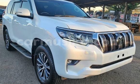 Tenga Tsaru Toyota Land Cruiser Prado Zvimwe Mota in Harare in Harare Tenga Tsaru Toyota Land Cruiser Prado Zvimwe Mota in Harare in Harare