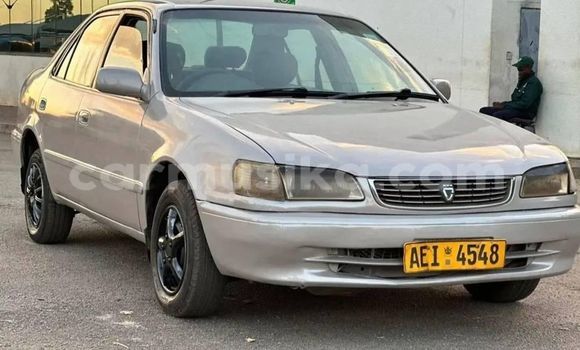 Buy Used Toyota Corolla Other Car in Harare in Harare