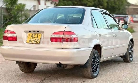 Acheter Occasion Voiture Toyota Corolla Autre à Harare, Harare Acheter Occasion Voiture Toyota Corolla Autre à Harare, Harare