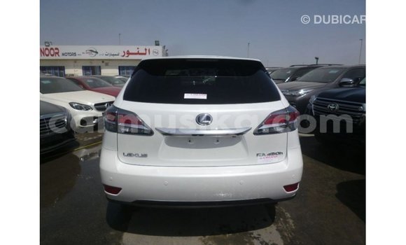 Acheter Import Voiture Lexus RX Blanc à Import - Dubai, Harare Acheter Import Voiture Lexus RX Blanc à Import - Dubai, Harare