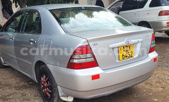 Nunua Ilio tumika Toyota 2000GT Nyingine Gari ndani ya Belvedere nchini Harare Nunua Ilio tumika Toyota 2000GT Nyingine Gari ndani ya Belvedere nchini Harare