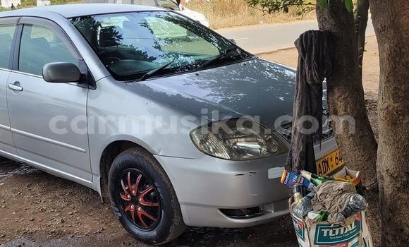 Nunua Ilio tumika Toyota 2000GT Nyingine Gari ndani ya Belvedere nchini Harare Nunua Ilio tumika Toyota 2000GT Nyingine Gari ndani ya Belvedere nchini Harare