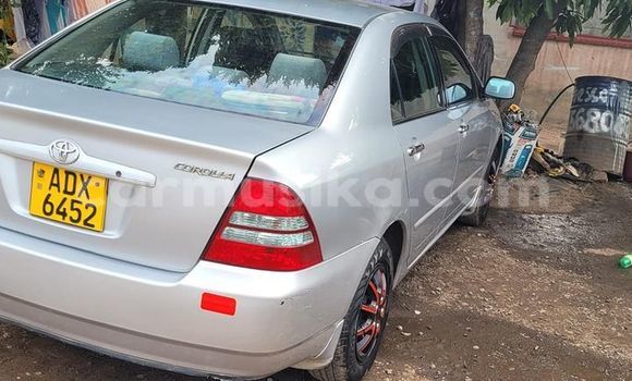 Nunua Ilio tumika Toyota 2000GT Nyingine Gari ndani ya Belvedere nchini Harare Nunua Ilio tumika Toyota 2000GT Nyingine Gari ndani ya Belvedere nchini Harare