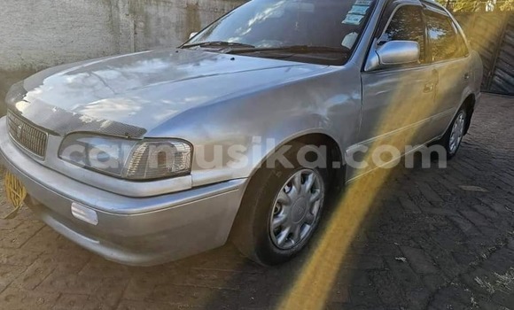 Tenga Tsaru Toyota Corolla Zvimwe Mota in Bindura in Mashonaland yePakati
