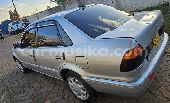 Nunua Ilio tumika Toyota Corolla Nyingine Gari ndani ya Bindura nchini Mashonaland Central Nunua Ilio tumika Toyota Corolla Nyingine Gari ndani ya Bindura nchini Mashonaland Central