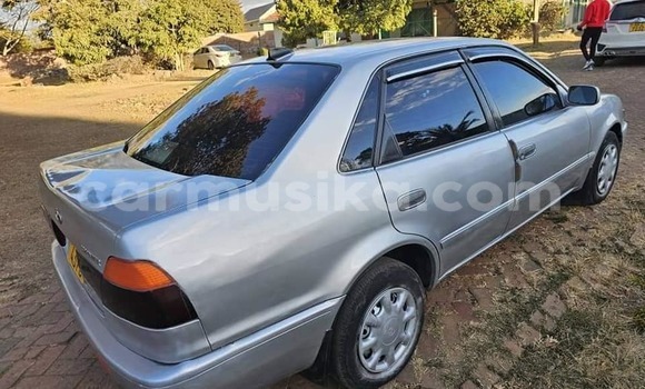 Nunua Ilio tumika Toyota Corolla Nyingine Gari ndani ya Bindura nchini Mashonaland Central Nunua Ilio tumika Toyota Corolla Nyingine Gari ndani ya Bindura nchini Mashonaland Central