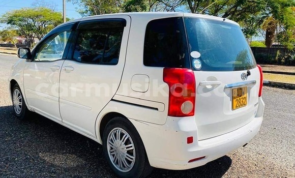 Tenga Tsaru Toyota Raum Chena Mota in Bulawayo in Bulawayo