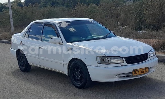 Buy Used Toyota Corolla White Car in Belvedere in Harare
