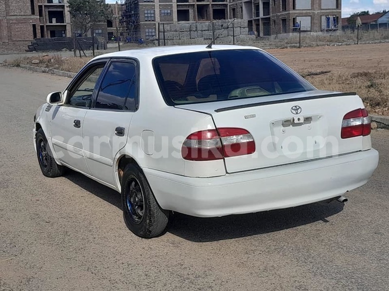 Big with watermark toyota corolla harare belvedere 35589