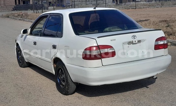 Nunua Ilio tumika Toyota Corolla Nyeupe Gari ndani ya Belvedere nchini Harare Nunua Ilio tumika Toyota Corolla Nyeupe Gari ndani ya Belvedere nchini Harare