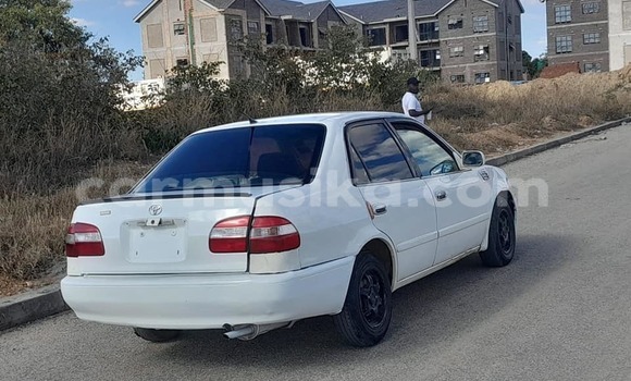 Nunua Ilio tumika Toyota Corolla Nyeupe Gari ndani ya Belvedere nchini Harare Nunua Ilio tumika Toyota Corolla Nyeupe Gari ndani ya Belvedere nchini Harare