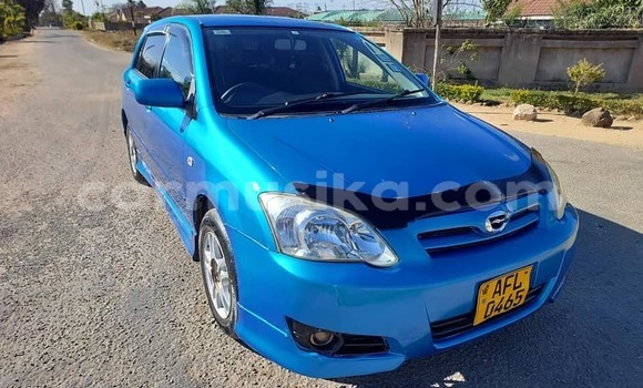 Buy Used Toyota Runx Blue Car in Borrowdale in Harare