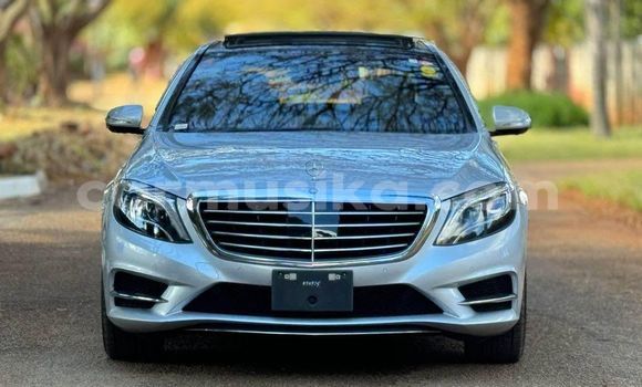 Buy Used Mercedes‒Benz S–Class Other Car in Borrowdale in Harare