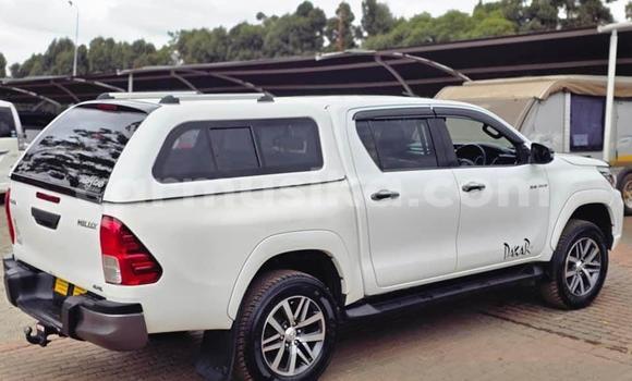 Acheter Occasion Voiture Toyota Hilux Blanc à Belvédère, Harare Acheter Occasion Voiture Toyota Hilux Blanc à Belvédère, Harare