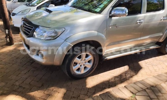 Acheter Occasion Voiture Toyota Hilux Autre à Bindura, Mashonaland Central Acheter Occasion Voiture Toyota Hilux Autre à Bindura, Mashonaland Central