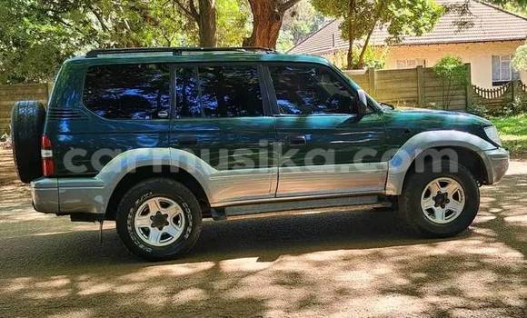 Acheter Occasion Voiture Toyota Land Cruiser Autre à Belvédère, Harare Acheter Occasion Voiture Toyota Land Cruiser Autre à Belvédère, Harare